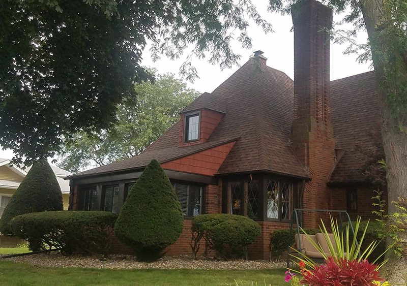 Plants surrounding a house